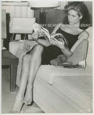 Elizabeth Montgomery Reading On Set Johnny Cool Vintage Photo 1963