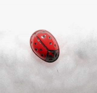 Rare Red Vintage Diminutive Realistic Lady Bug Glass Button 100x