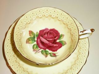 VINTAGE PARAGON DOUBLE WARRANT RED CABBAGE ROSE TEA CUP & SAUCER R.  JOHNSON 8