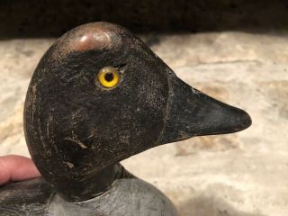 ANTIQUE CARVED SOLID WOOD BLUEBILL DUCK DECOY W/YELLOW GLASS EYES 6