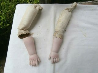 Antique German Doll Body Parts,  8 1/2 " Long Bisque/kid Arms For Bisque Head Doll