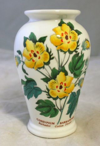Vintage Portmeirion Botanic Garden Vase Yellow Barbados Cotton Flowers