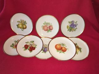8 Vintage Hutschenreuther Selb Pasco German Porcelain 8 " Decorative Fruit Plates