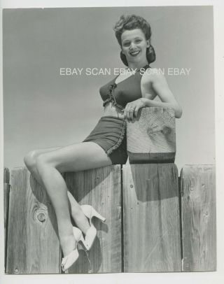 Carole Landis Sexy Leggy Vintage Portrait Photo 1943