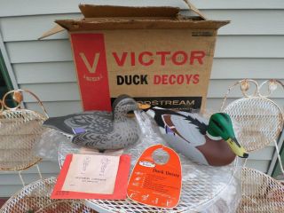 Vtg Box Of 2 D - 9r Victor Animal Trap Mallard Duck Decoys Swivel Heads