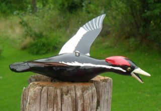 Ice Fishing Decoy Ivory - Billed Woodpecker Hand Carved Folk Art By Sheila Cates