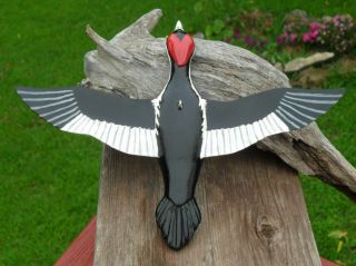 Ice Fishing Decoy Ivory - billed Woodpecker Hand carved Folk Art by Sheila Cates 3