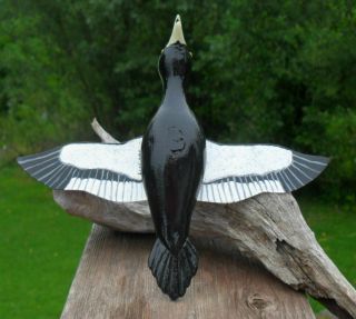 Ice Fishing Decoy Ivory - billed Woodpecker Hand carved Folk Art by Sheila Cates 4