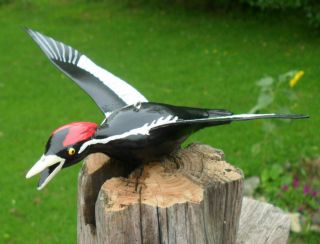 Ice Fishing Decoy Ivory - billed Woodpecker Hand carved Folk Art by Sheila Cates 5
