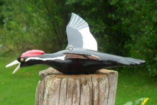 Ice Fishing Decoy Ivory - billed Woodpecker Hand carved Folk Art by Sheila Cates 6