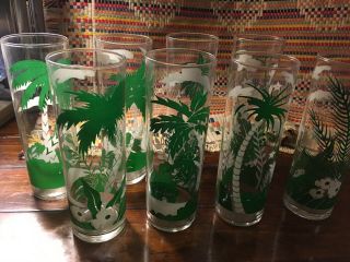 8 Vintage Libbey Glass Tropical Palm Tree Cocktail High Ball Tiki Tumblers