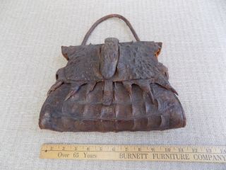 1940s 1950s Real Alligator Purse Handbag / Taxidermy - Full Alligator Skin