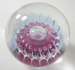 Vintage Maytum Studio Jellyfish Paperweight Signed Dichroic Art Glass 1991