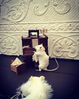 Taxidermy White Mouse With Vintage Music Box Piano Shabby Brocante Jdl