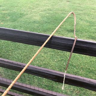 Antique Leather Braided Buggy / Horse Whip / Vintage Horse Crop - Barn Fresh 3