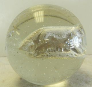9179m Vintage German Handmade Sulphide Marble 1.  52 Inches 6