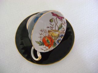Vintage Aynsley Poppies And Daisies On Black Background Cup & Saucer