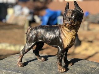 Vintage Hubley Cast Iron Boston Terrier Doorstop Left Facing