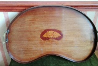 Antique / Vintage Kidney Shaped Drinks / Serving Tray With Shell Marquetry Inlay