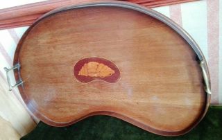 Antique / Vintage Kidney Shaped Drinks / Serving Tray with Shell Marquetry Inlay 2