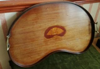 Antique / Vintage Kidney Shaped Drinks / Serving Tray with Shell Marquetry Inlay 3