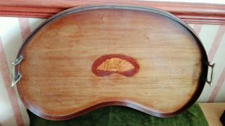Antique / Vintage Kidney Shaped Drinks / Serving Tray with Shell Marquetry Inlay 7