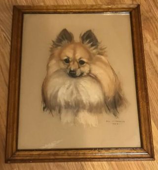 Vintage 1940 Painting By World Famous Dog Artist / Bill Mcpherson