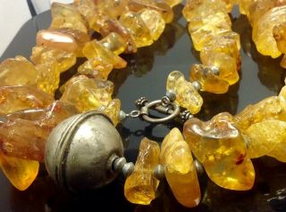 Vintage 33 " Amber Beaded Necklace With Sterling Silver Clasp 238 Grams (e47)