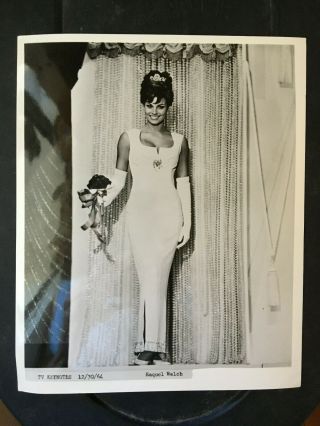 Raquel Welch Vintage Press Headshot Photo.  1964 Wire