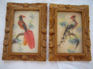 Vintage Real Feather Art Bird W/ Hand Carved Wood Frame - Mexico