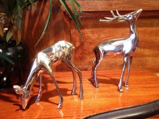 Vintage Brass Deer Pair Figurines - Buck & Doe - (office,  Mid Century Modern)