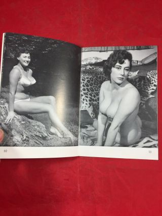 Vtg 50’s Harrison Marks Solo 6 Rochelle Lofting Spicy Nude Girlie Risqué Pinups 6