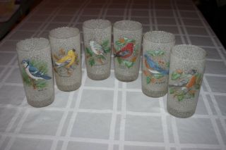 Rare Set Of 6 Vintage Bird Textured Glass Tumbler Goldfinch & Taniger & Titmouse