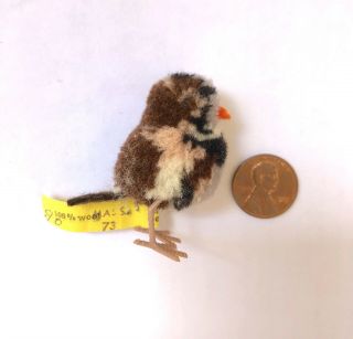 Rare Vintage Baby Brown Gray Bird Miniature Steiff 6504,  45 Wool Pom Pom Finch