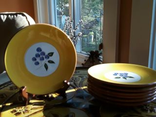Set Of 7 Vintage Stangl Pottery " Blueberry " 6 1/4 " Bread & Butter Plates