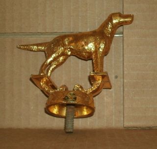 Vintage 1980 ' s Brass Metal Dog Trophy Topper Champion K9 Best of Show Award Part 3