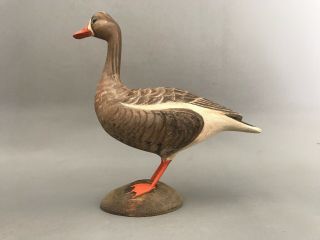 Duck Decoy White Fronted Goose,  Solid Wood,  Glass Eyes,  Miniature Scale.