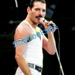 Freddie Mercury Queen Sexy Vintage Concert Singer Rock Photo 8x11
