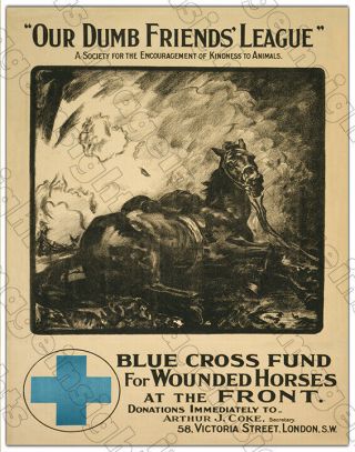 Our Dumb Friends 1915 Wwi Vintage Poster Be Kind To Animals Art 8x10 Rp