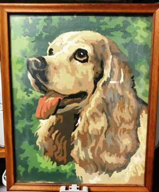 Vintage Paint By Number - Cocker Spaniel - 1958