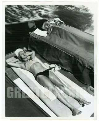 Betty Grable 1953 Sunbathing In Bikini Sexy Vintage Photograph