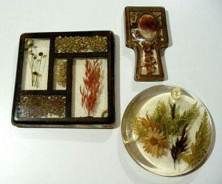 Vintage Acrylic Lucite Trivets And Spoon Rest,  Dried Beans/seeds,  Pressed Flowers