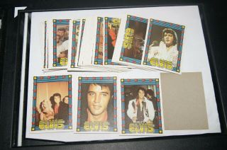 Vintage Box Of 49 Different 1978 Elvis Presley Monty Trading Cards From Holland