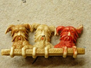 Vintage Art Deco Celluloid Westie Scottie Dog Brooch With Three Dogs