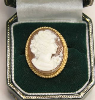 Vintage 9ct Gold Cameo Brooch By W.  J.  Pellow 28mm X 22mm