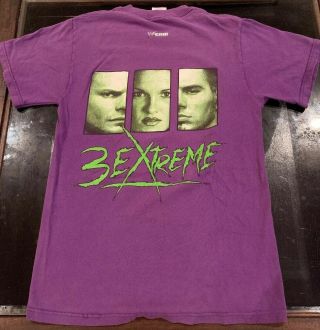 Wwe Wwf Vintage 2002 Hardy Boyz 3 Extreme Purple T - Shirt Small