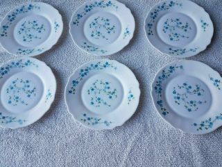 Set Of 6 Arc Arcopal France " Veronica,  Salad Plates Vintage Blue Flowers