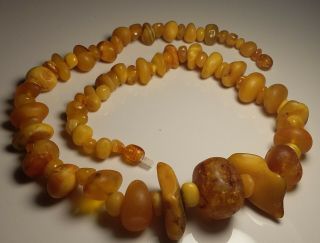 Huge Old Vintage Natural Baltic Amber Egg Yolk Beads Necklace 41 G.