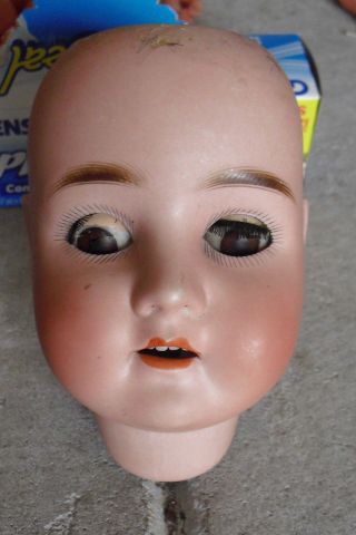 Vintage Pansy Iv Germany Bisque Girl Doll Head 5 1/2 " Tall