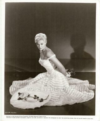Young Sexy Busty Kim Novak Vintage Columbia Pictures Portrait Still 1